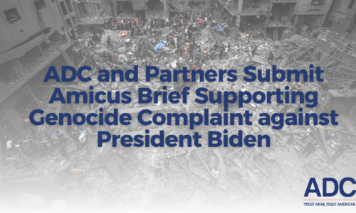 ADC and Partners Submit Amicus Brief Supporting Genocide Complaint against President Biden