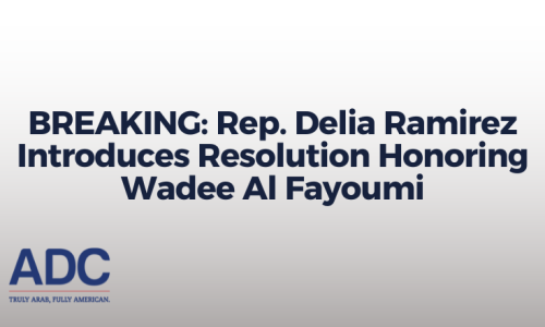 Rep. Delia Ramirez Introduces Resolution Honoring Wadee Al-Fayoumi