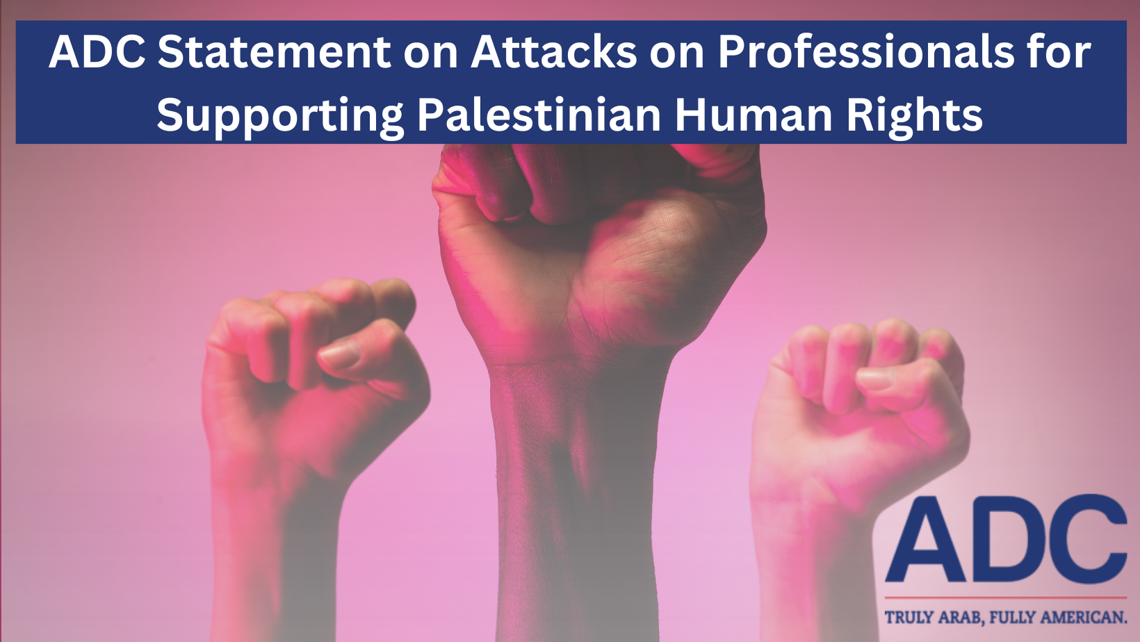 ADC Statement on Attacks on Professionals for Supporting Palestinian Human Rights image