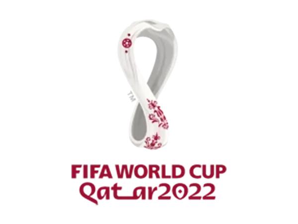 2022 World Cup Marks Historic Moment for Qatar, Arabs image