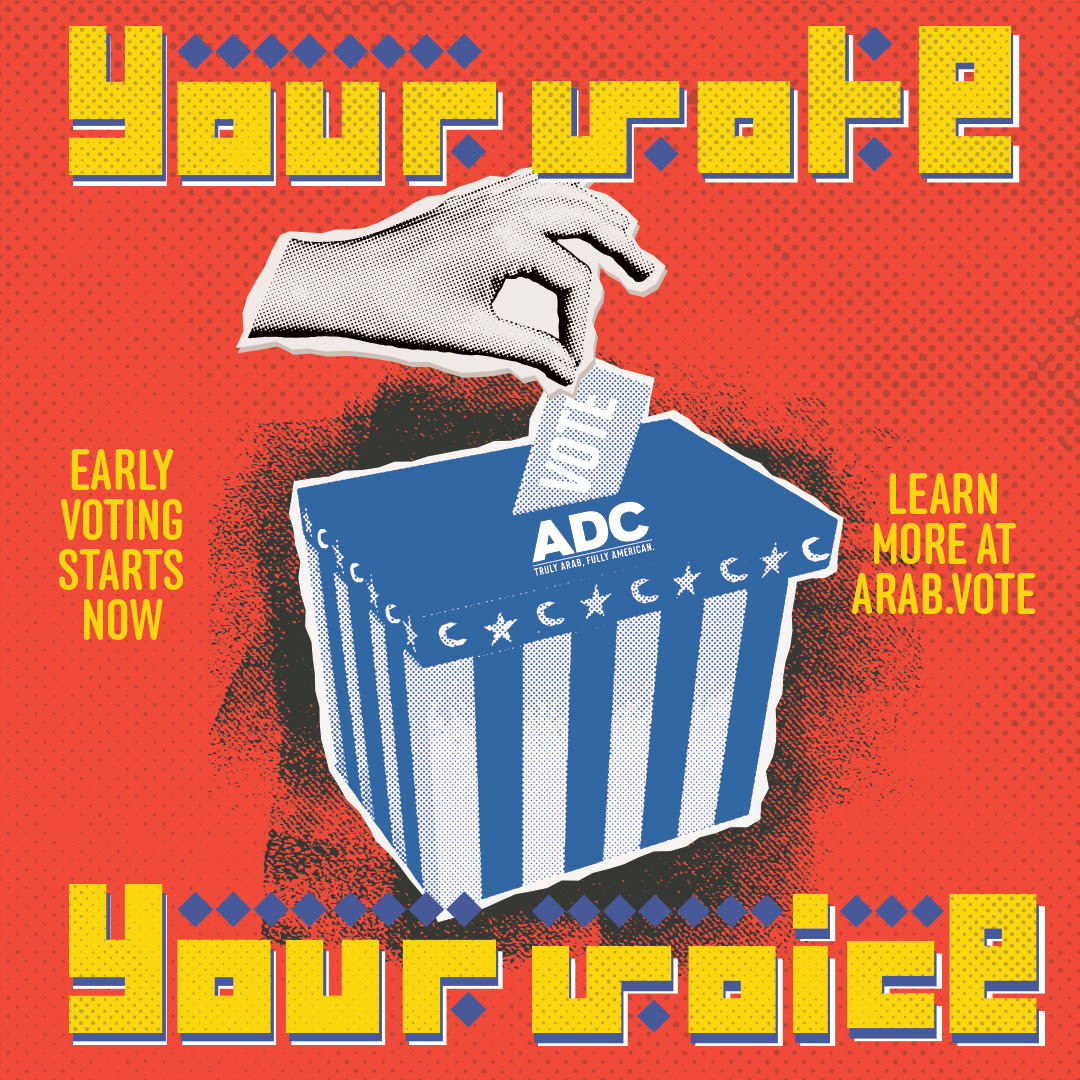 Know Your Rights at the Ballot Box image