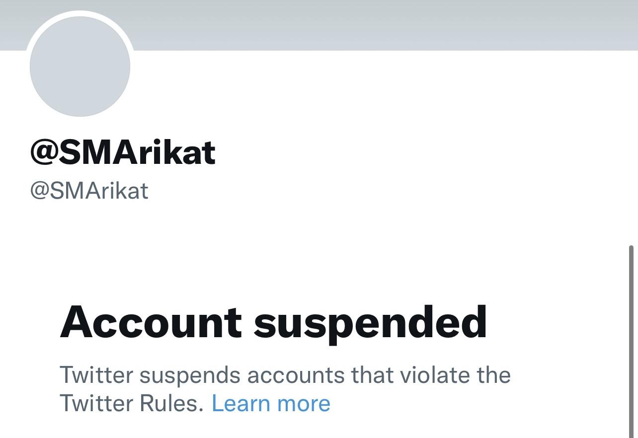 Elon Musk and Twitter Target, Silence Palestinian Journalists image