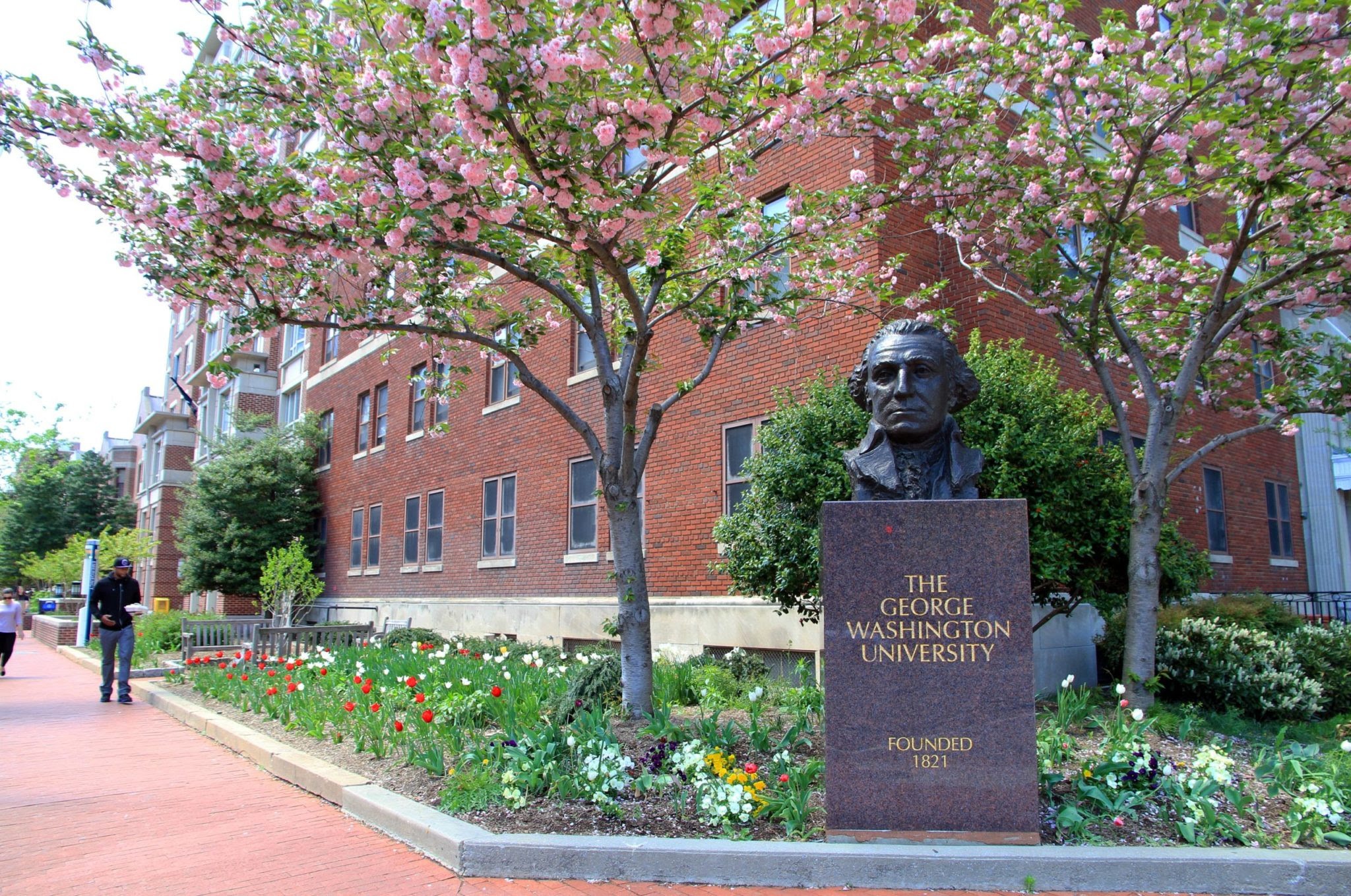Breaking: GWU Clears Dr. Lara Sheehi of Anti-Semitism image